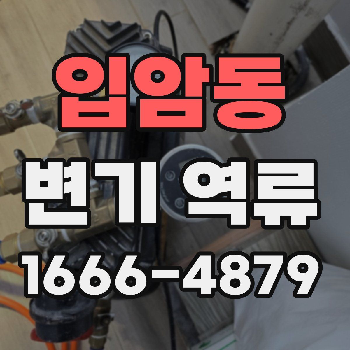 입암동 변기 역류