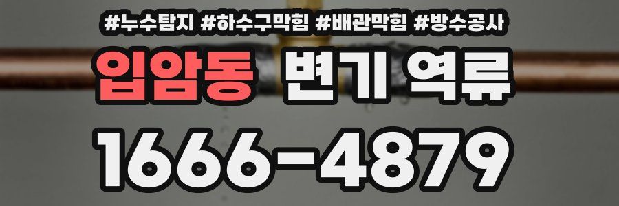 입암동 변기 역류