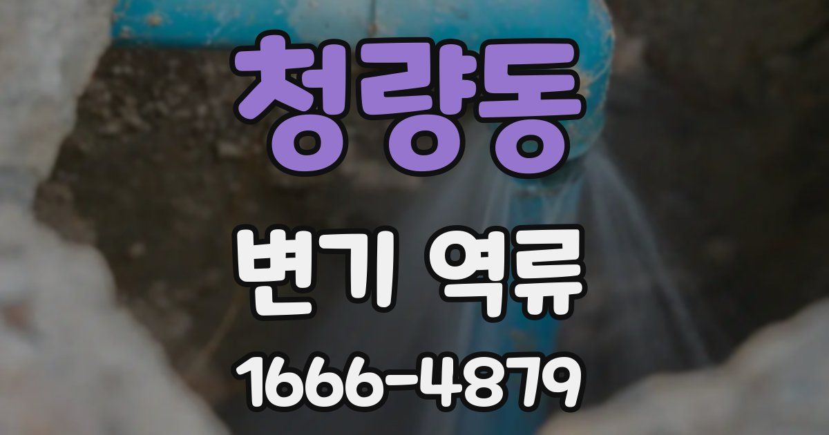 청량동 변기 역류