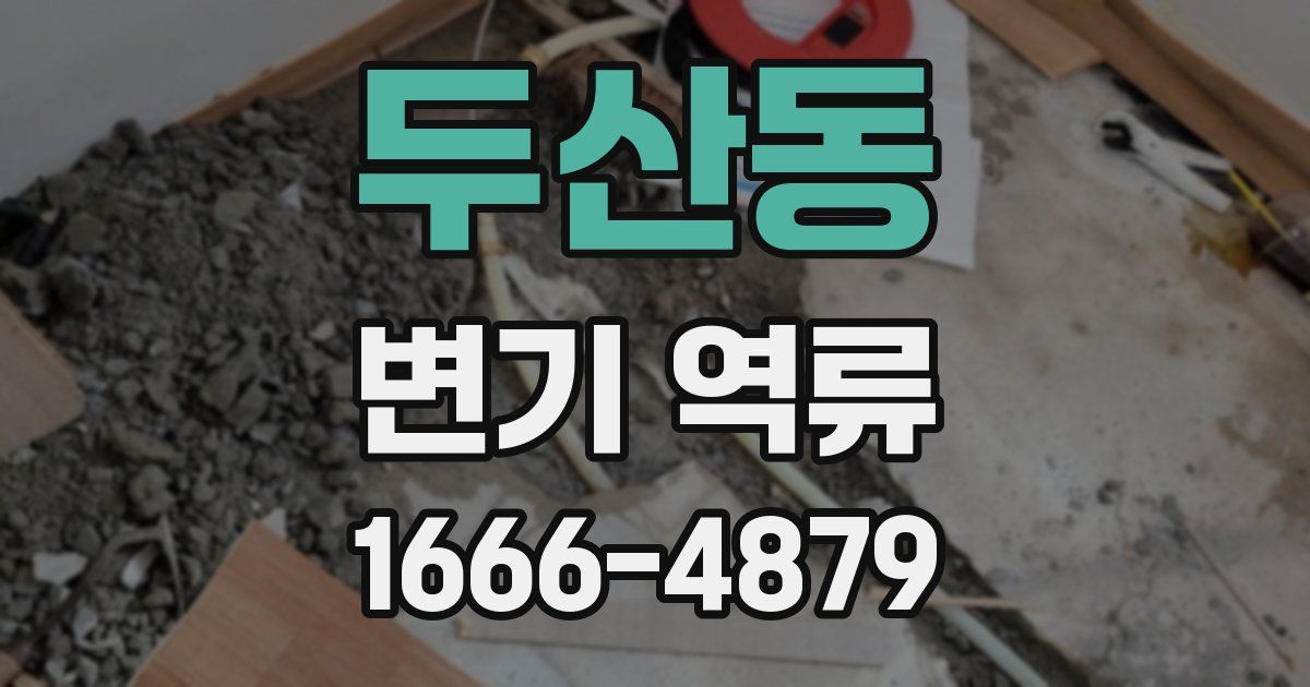 두산동 변기 역류