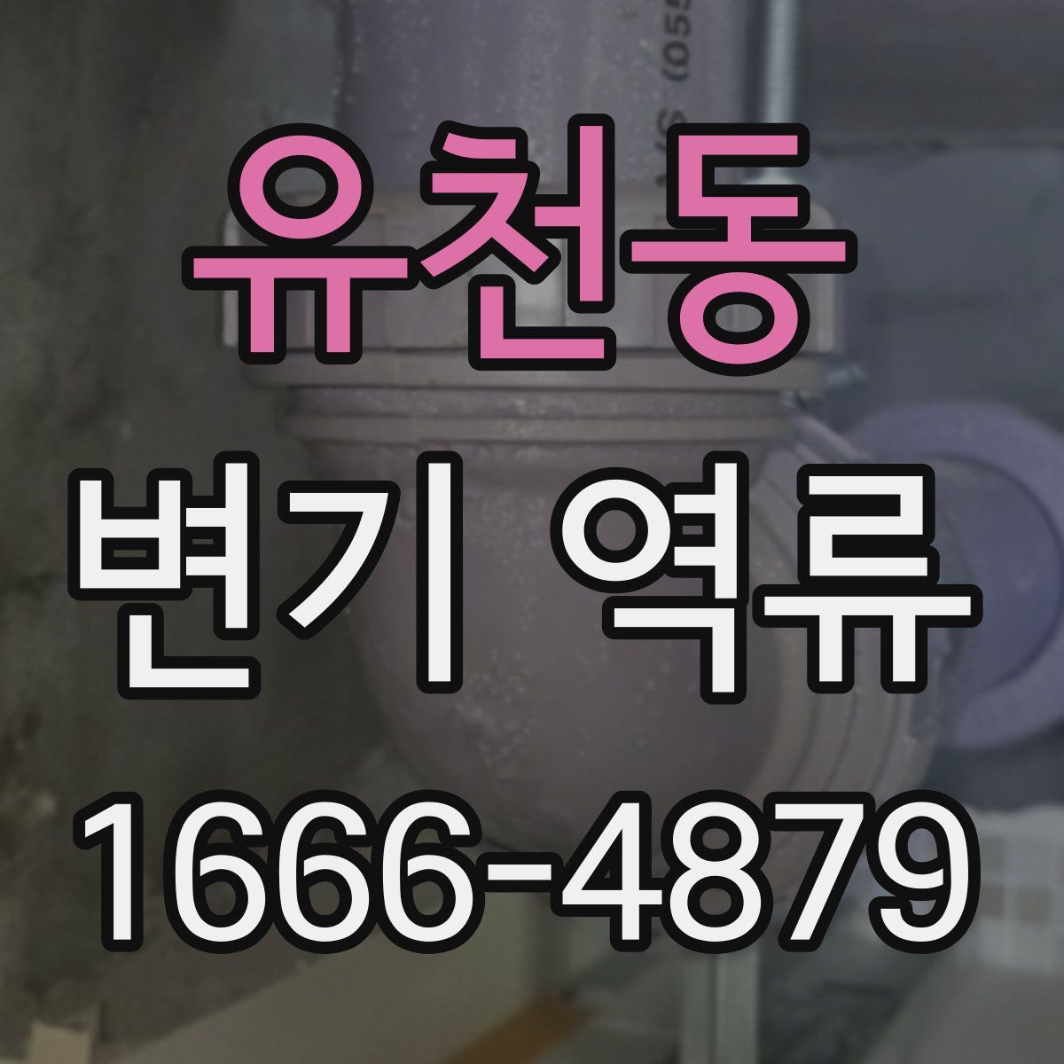유천동 변기 역류