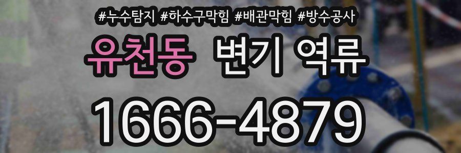 유천동 변기 역류