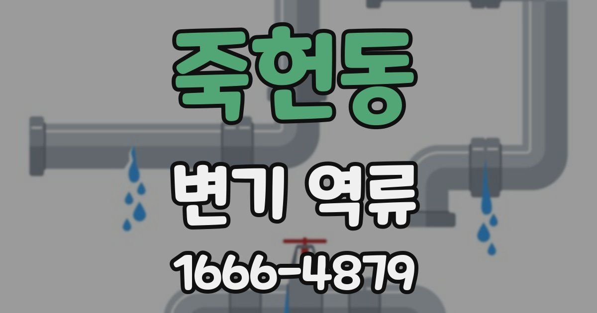 죽헌동 변기 역류