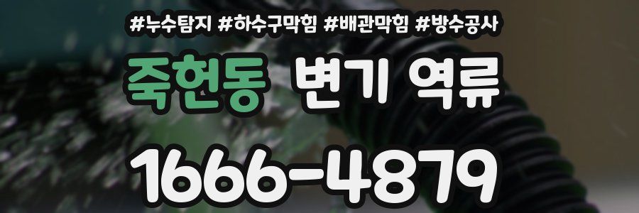 죽헌동 변기 역류