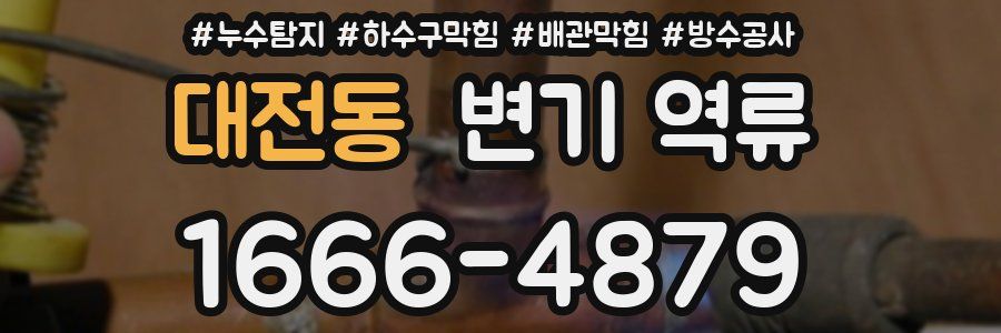 대전동 변기 역류