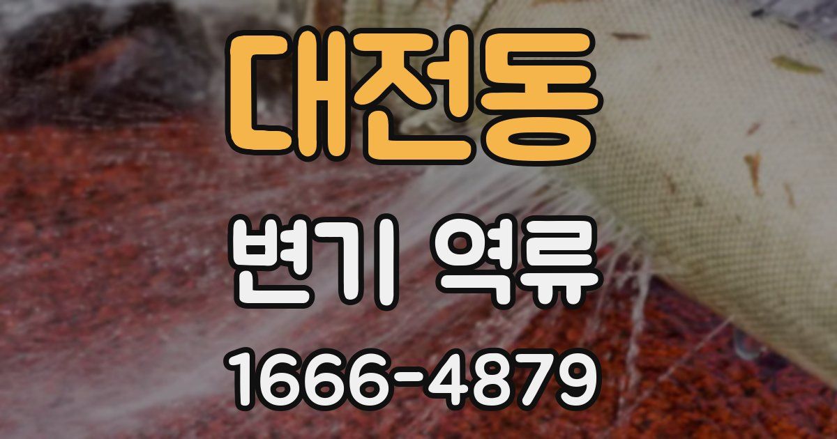 대전동 변기 역류
