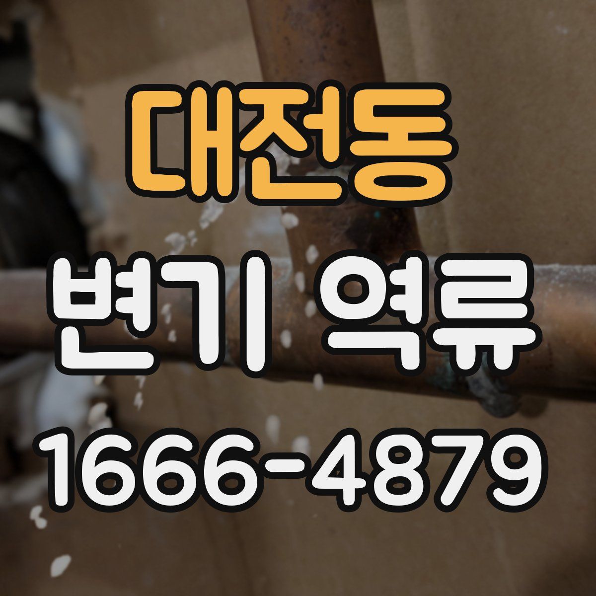 대전동 변기 역류