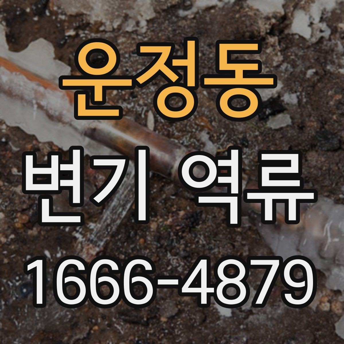 운정동 변기 역류 발생 시 당황하지 않고 처리하는 법