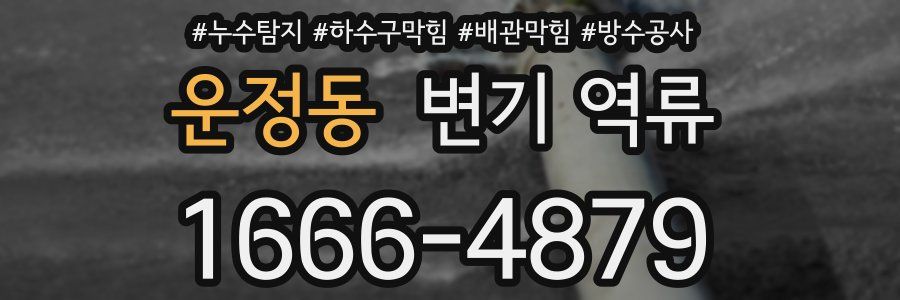 운정동 변기 역류