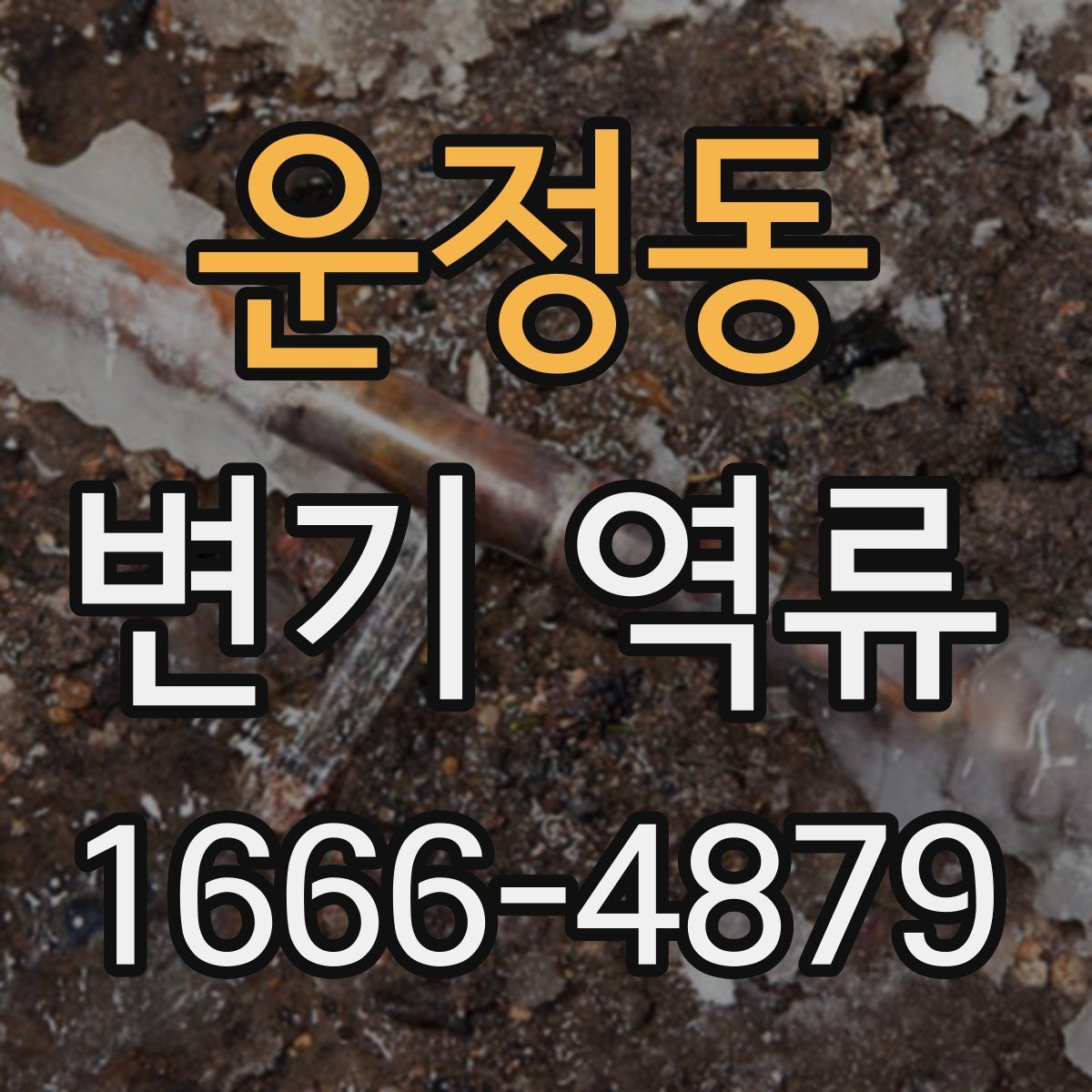 운정동 변기 역류