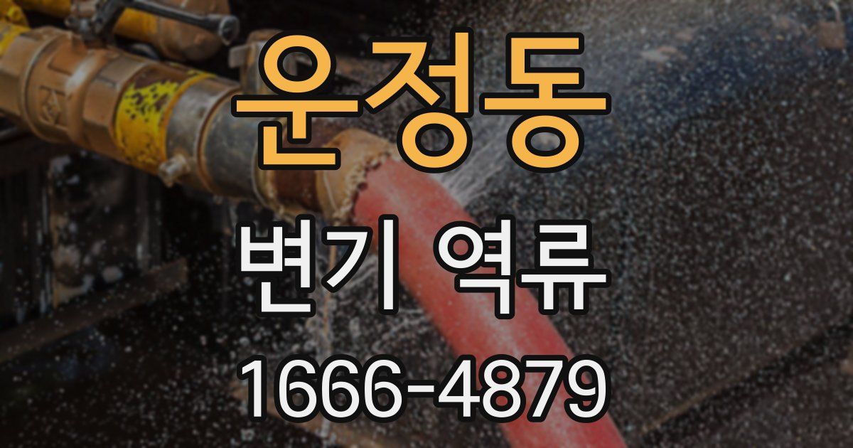 운정동 변기 역류