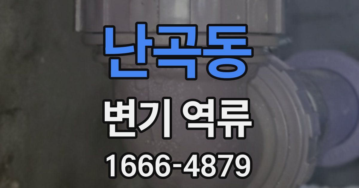 난곡동 변기 역류