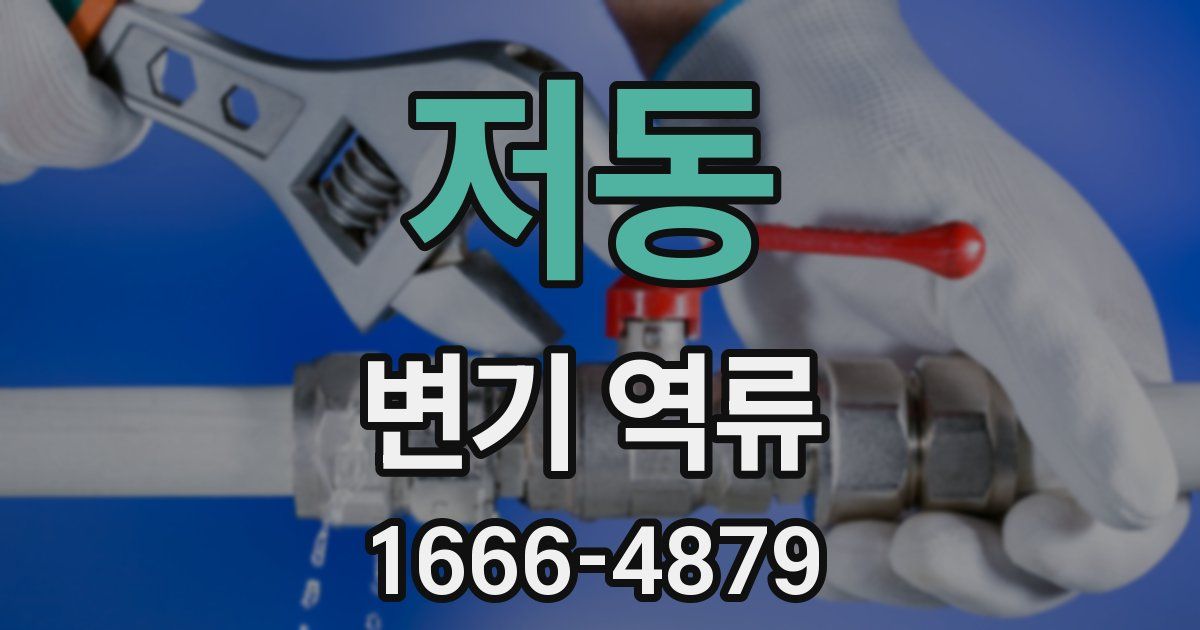 저동 변기 역류