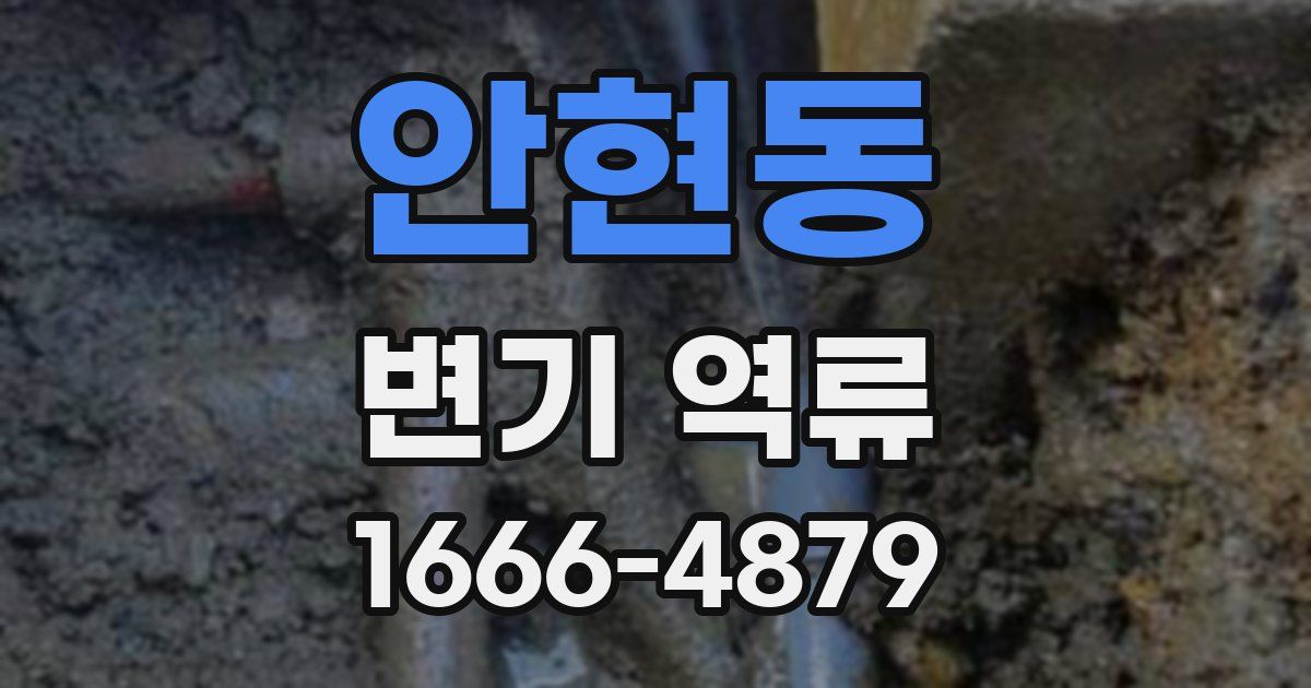 안현동 변기 역류