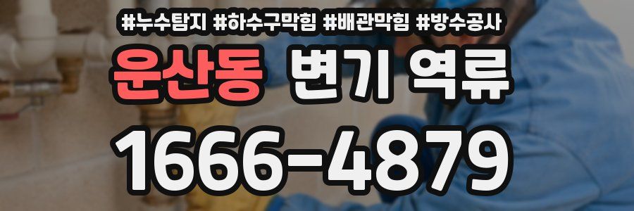 운산동 변기 역류