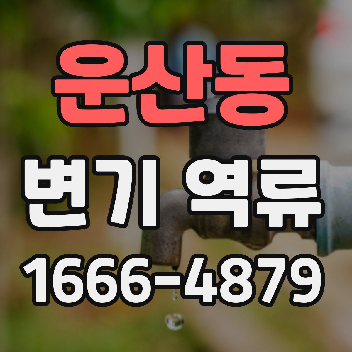운산동 변기 역류