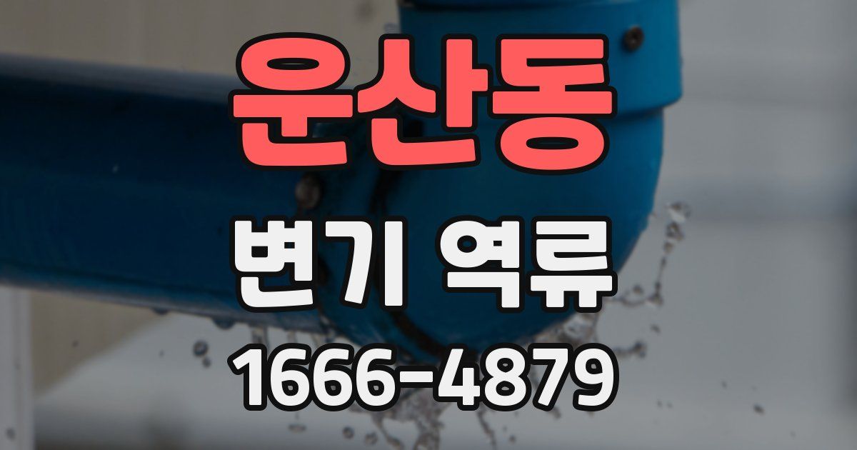 운산동 변기 역류