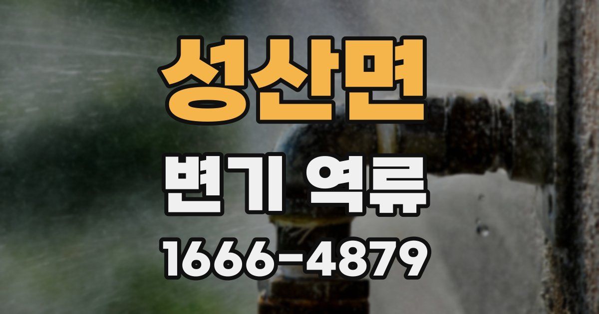 성산면 변기 역류