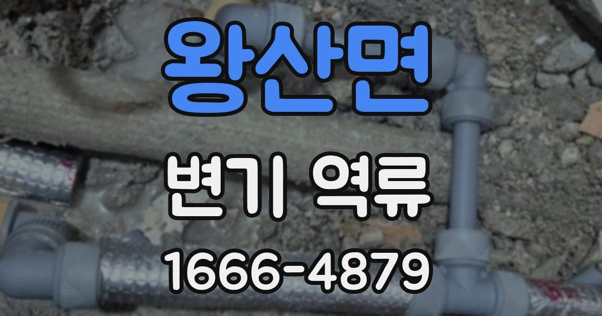 왕산면 변기 역류