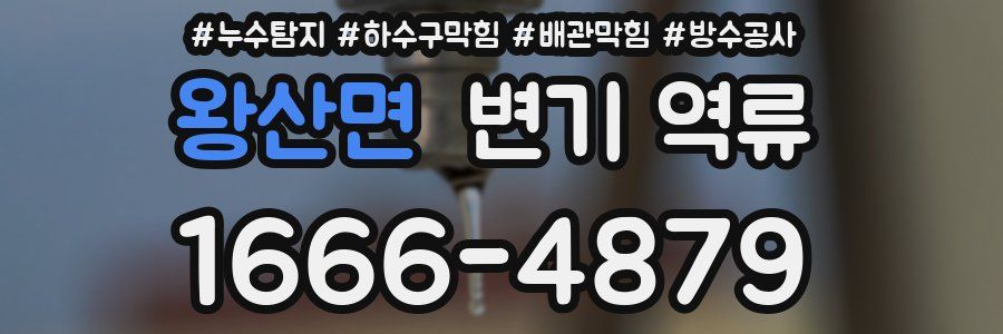 왕산면 변기 역류