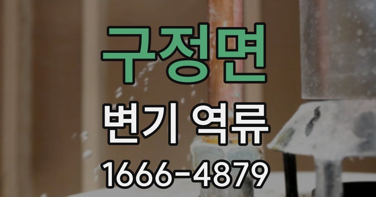 구정면 변기 역류
