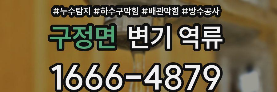 구정면 변기 역류