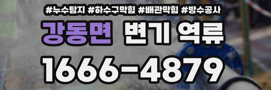 강동면 변기 역류