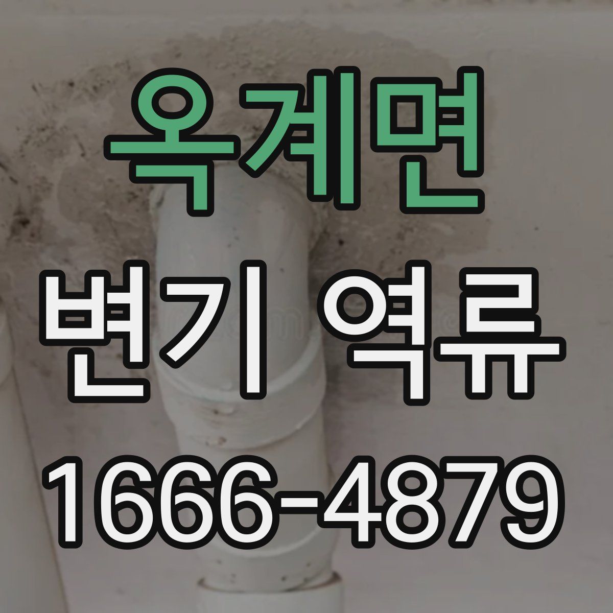 옥계면 변기 역류