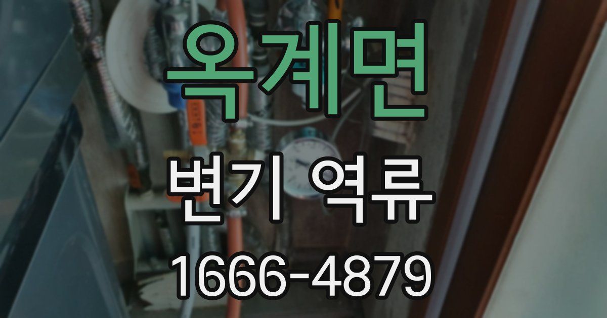 옥계면 변기 역류