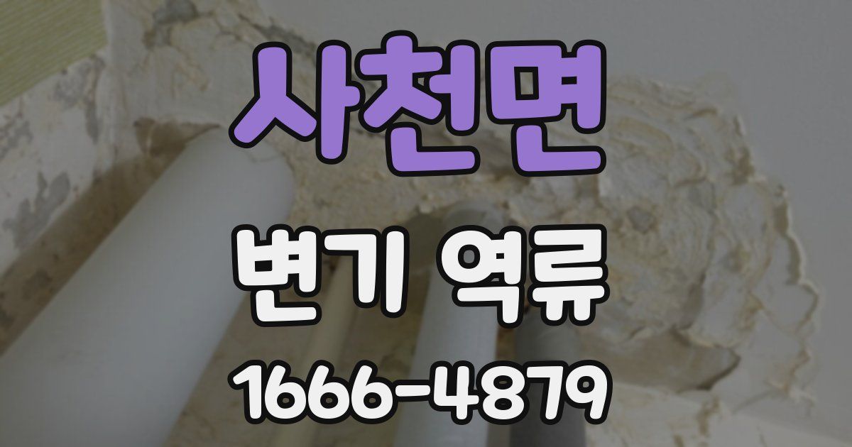 사천면 변기 역류