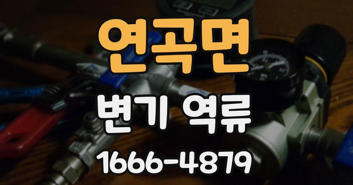 연곡면 변기 역류