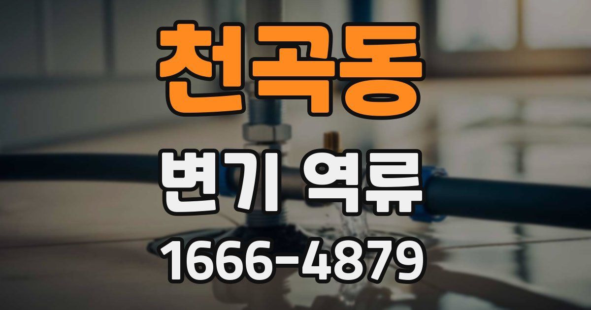 천곡동 변기 역류