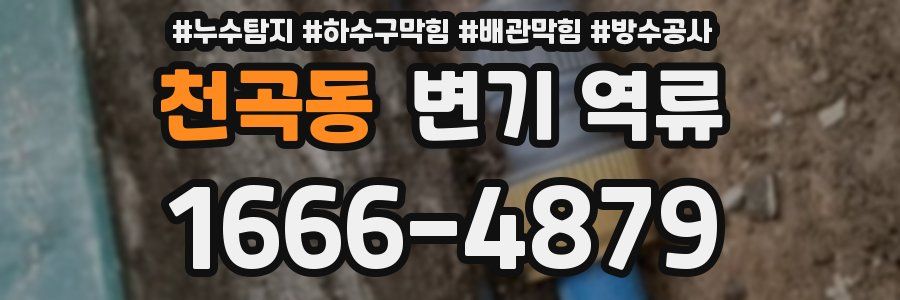 천곡동 변기 역류