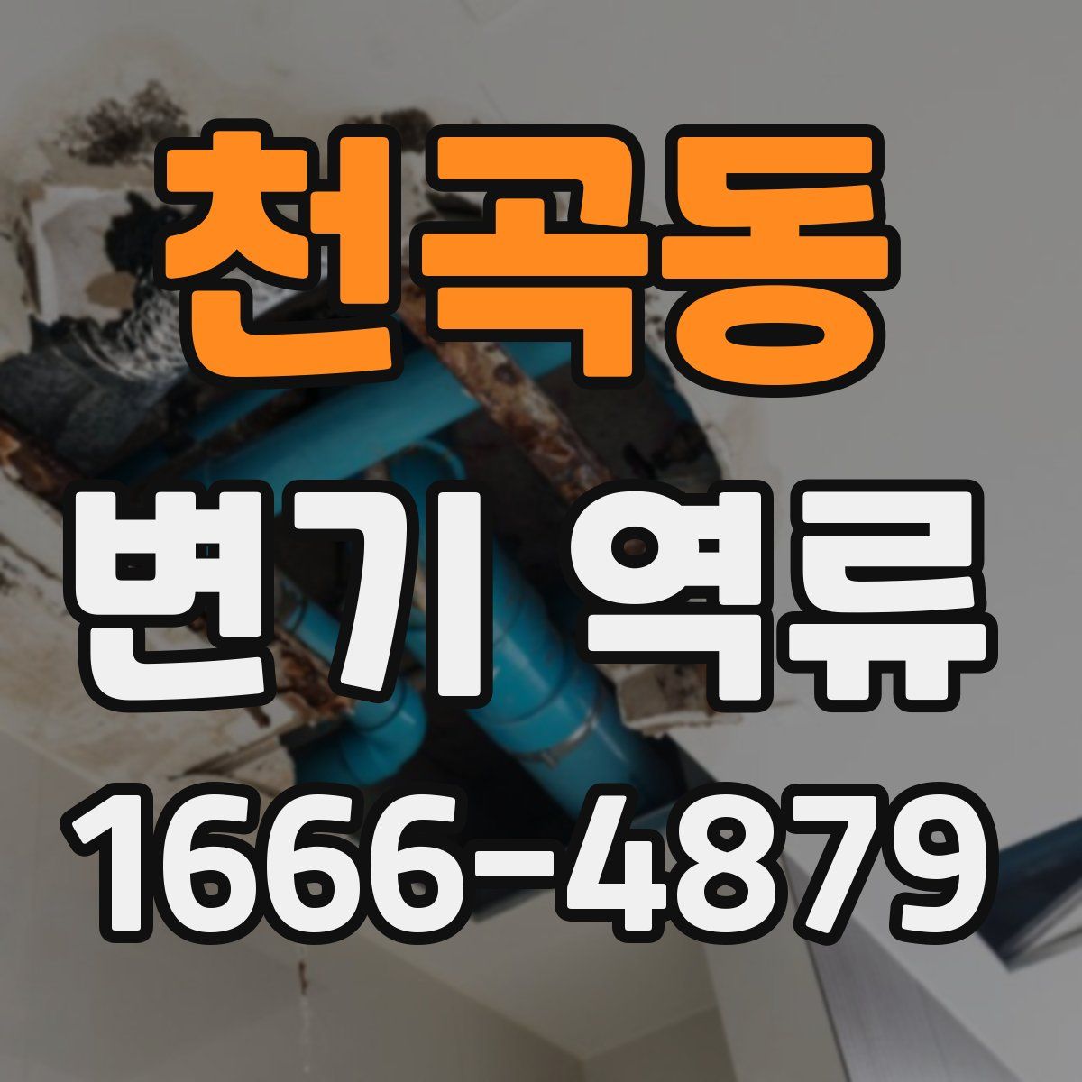 천곡동 변기 역류