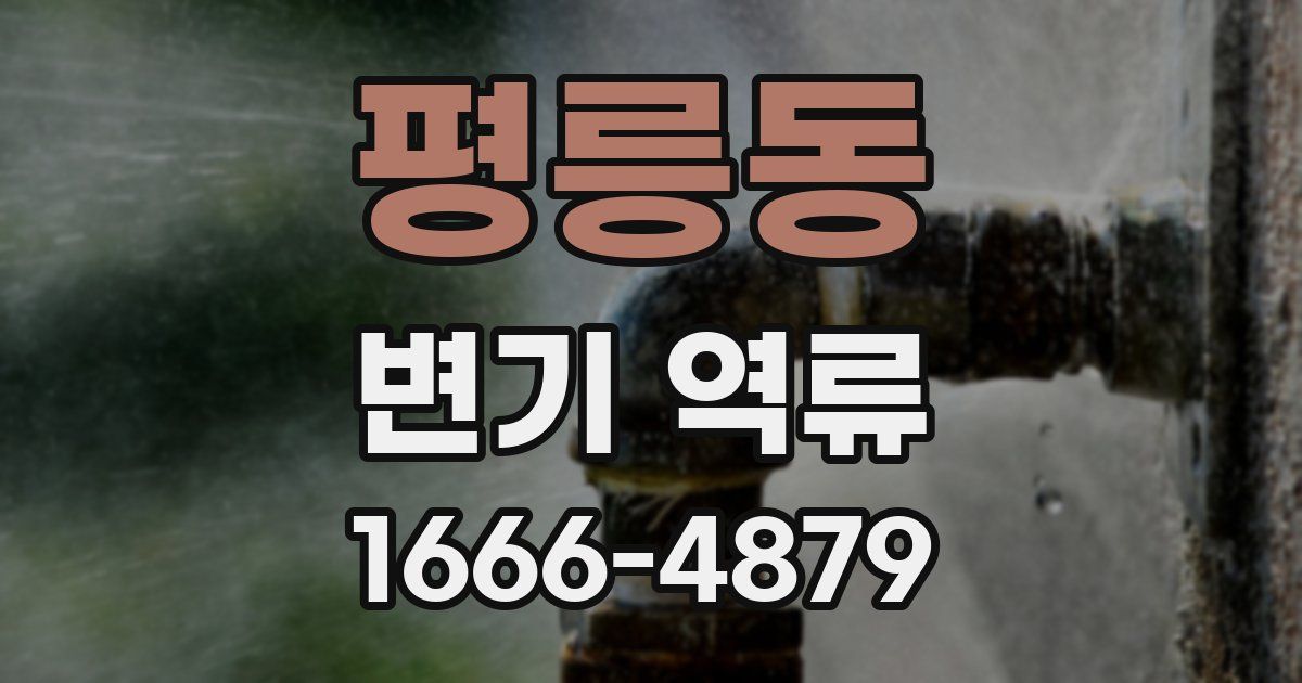 평릉동 변기 역류