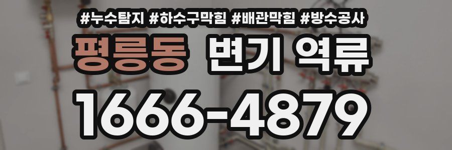평릉동 변기 역류