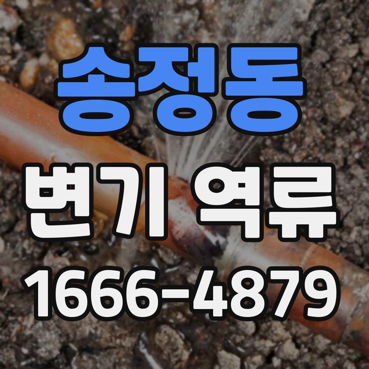 송정동 변기 역류