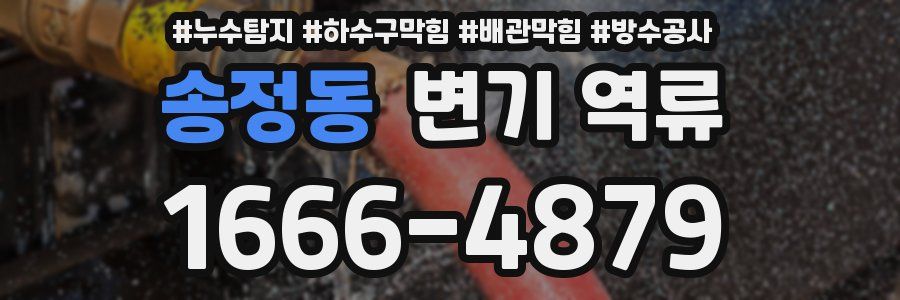 송정동 변기 역류
