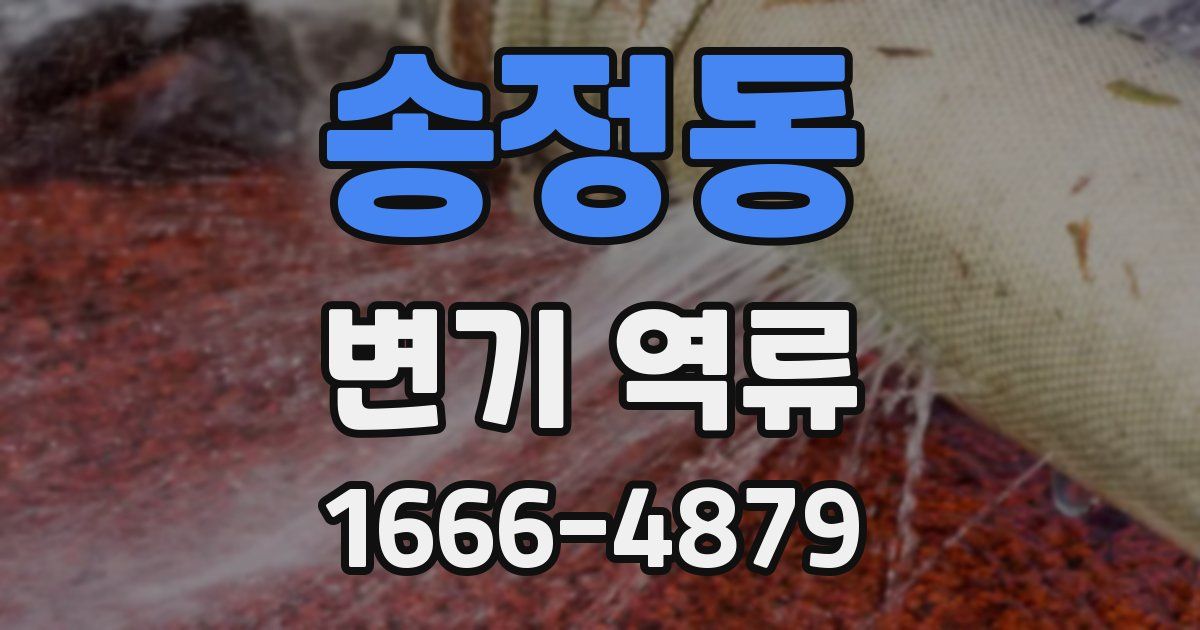 송정동 변기 역류