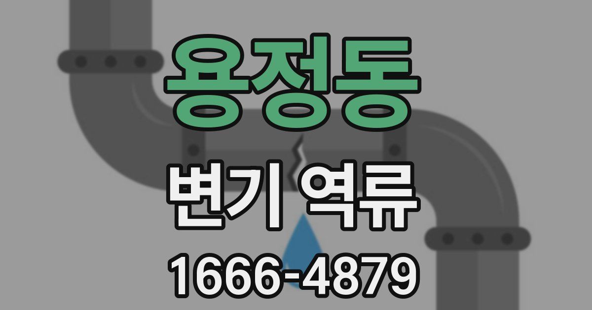 용정동 변기 역류