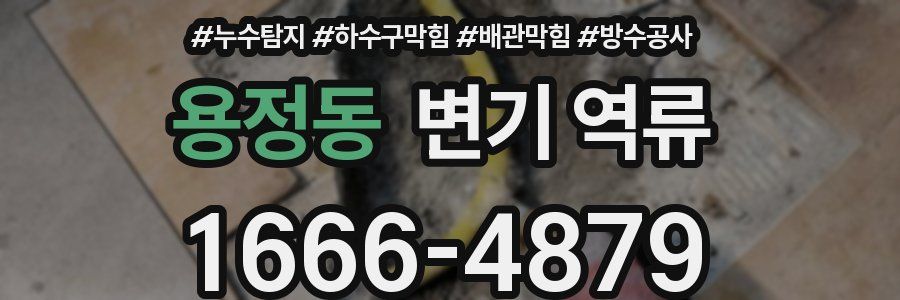 용정동 변기 역류