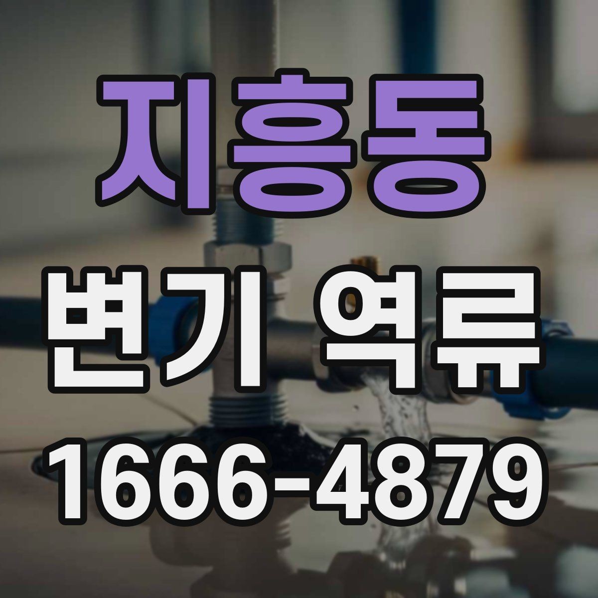 지흥동 변기 역류 원인별 확인 포인트
