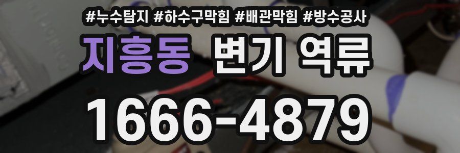 지흥동 변기 역류