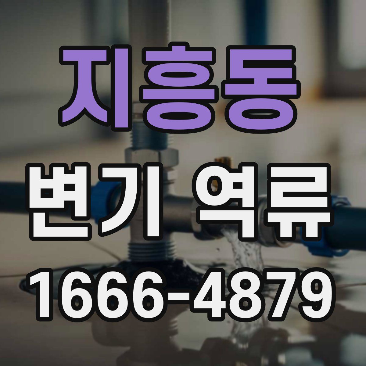 지흥동 변기 역류