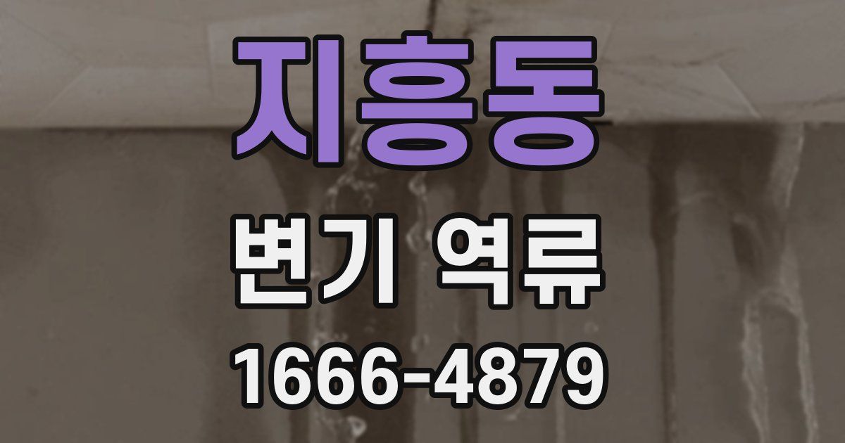 지흥동 변기 역류