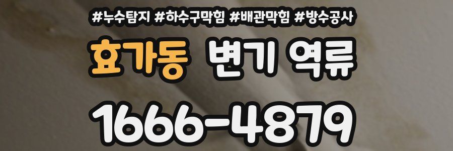 효가동 변기 역류