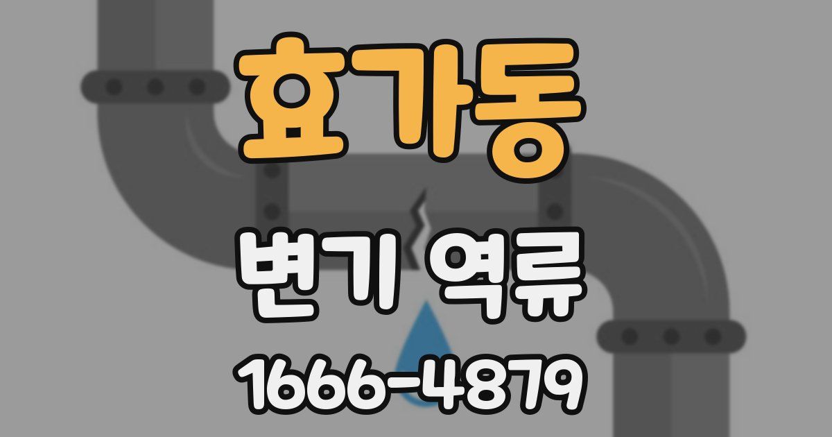 효가동 변기 역류