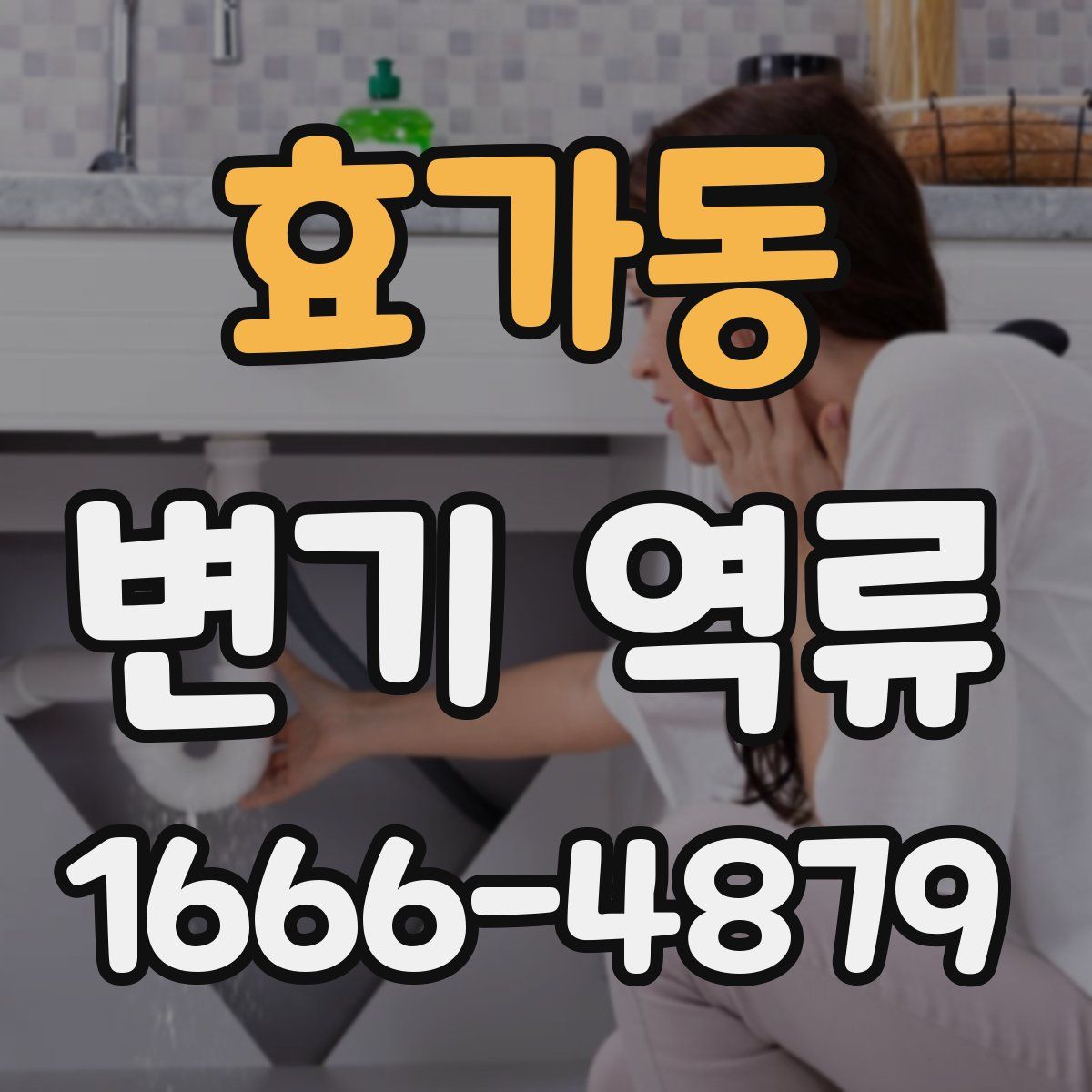 효가동 변기 역류