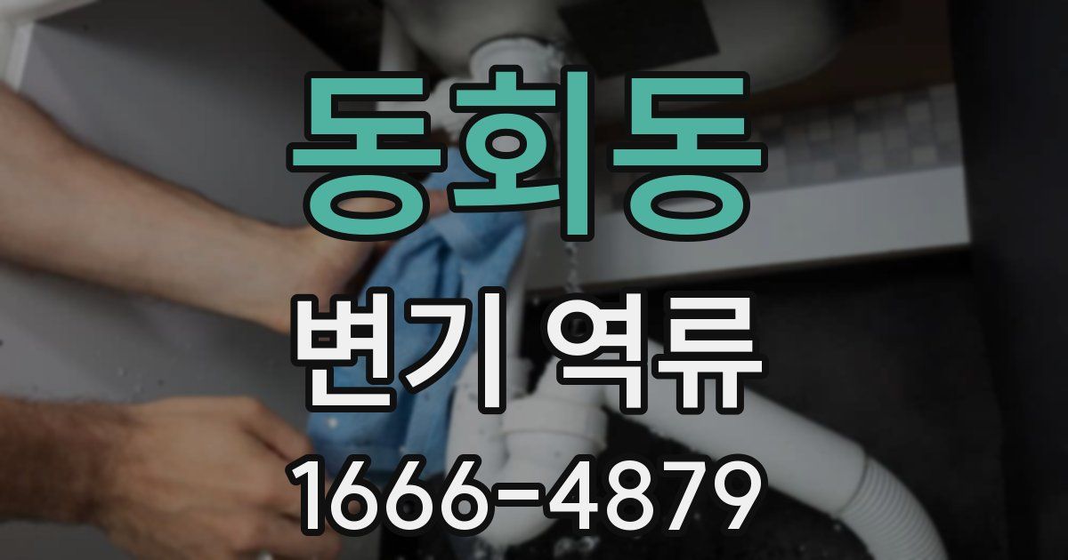동회동 변기 역류
