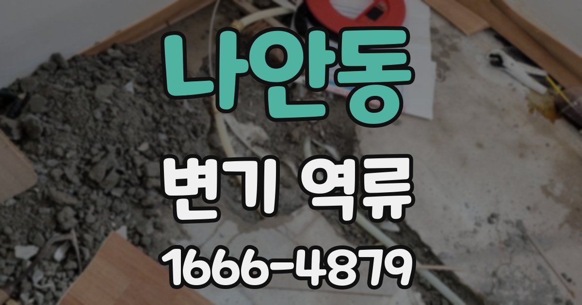 나안동 변기 역류